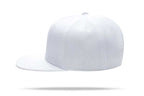 Casual Hip Hop 100% polyester Flat Bill Flat brim solid color wool felt hip-hop hatHB126 print logo 46