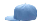 Casual Hip Hop 100% polyester Flat Bill Flat brim solid color wool felt hip-hop hatHB126 print logo 3