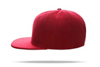 Casual Hip Hop 100% polyester Flat Bill Flat brim solid color wool felt hip-hop hatHB126 print logo 52