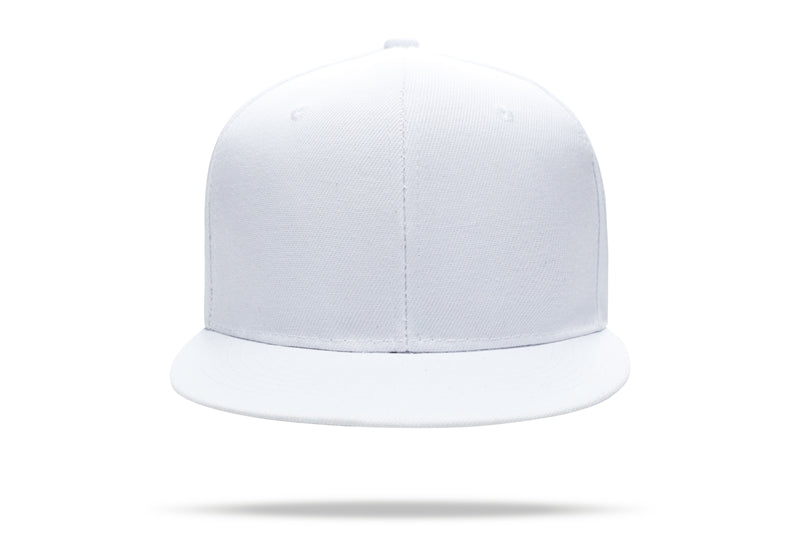 Casual Hip Hop 100% polyester Flat Bill Flat brim solid color wool felt hip-hop hatHB126 print logo 48