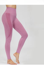 Womens Sports Yoga 13%Spandex 87%Nylon Leggings ZC2818