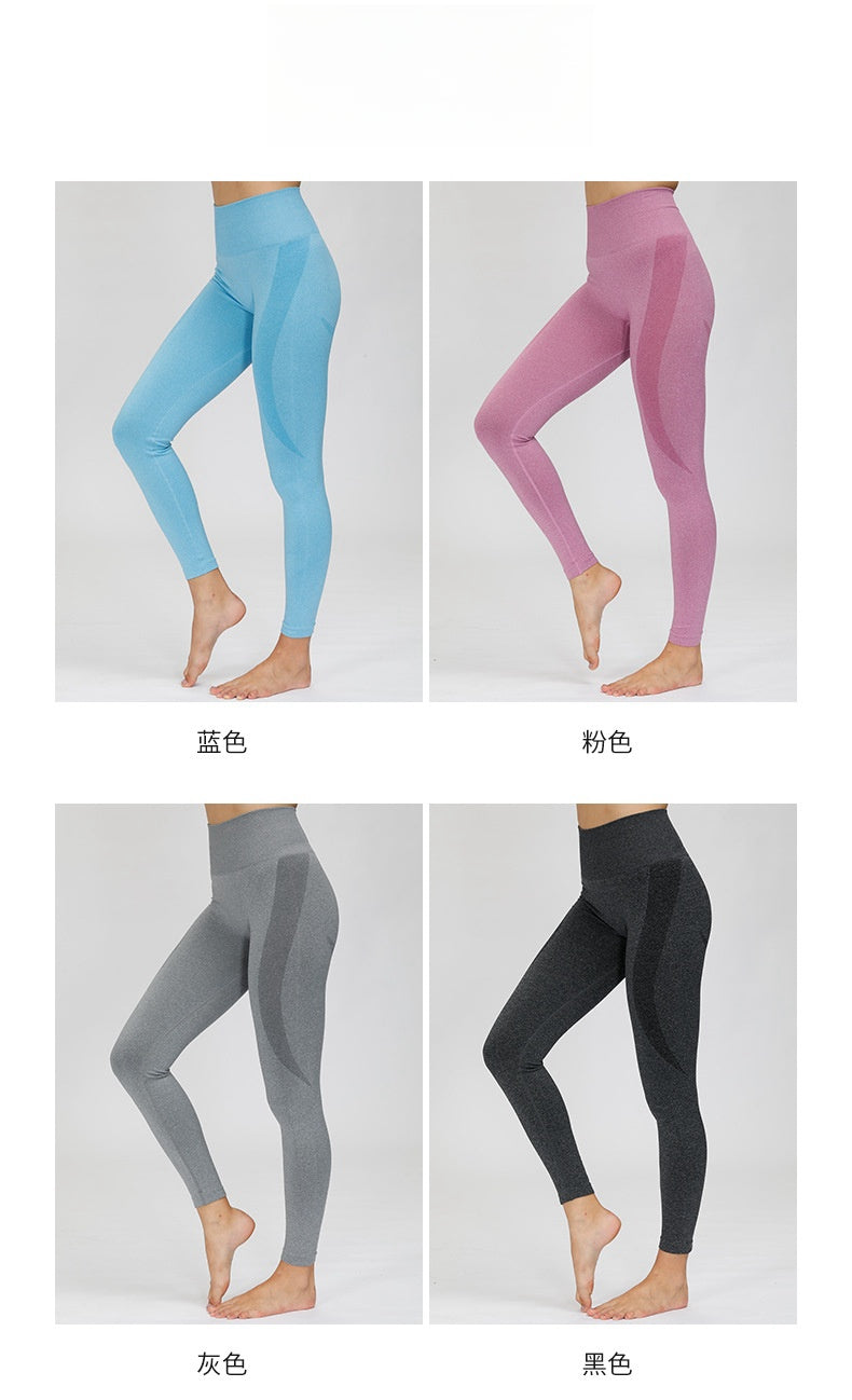 Womens Sports Yoga 13%Spandex 87%Nylon Leggings ZC2818